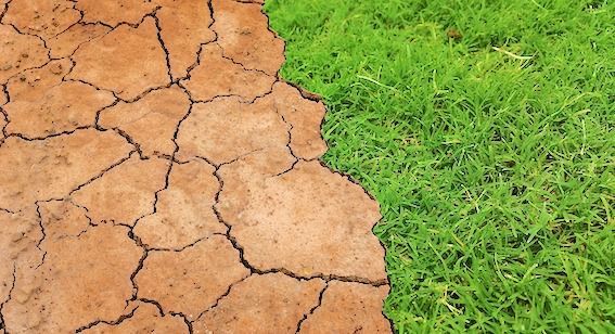 SÉCHERESSE - Restrictions temporaires des usages de l’eau dans les Landes